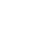 D'Angelico Guitars