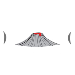 Electro Hawaiian