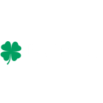Rafferty Guitars