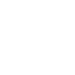 Revv Amplification Inc