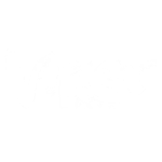 Viper Guitars