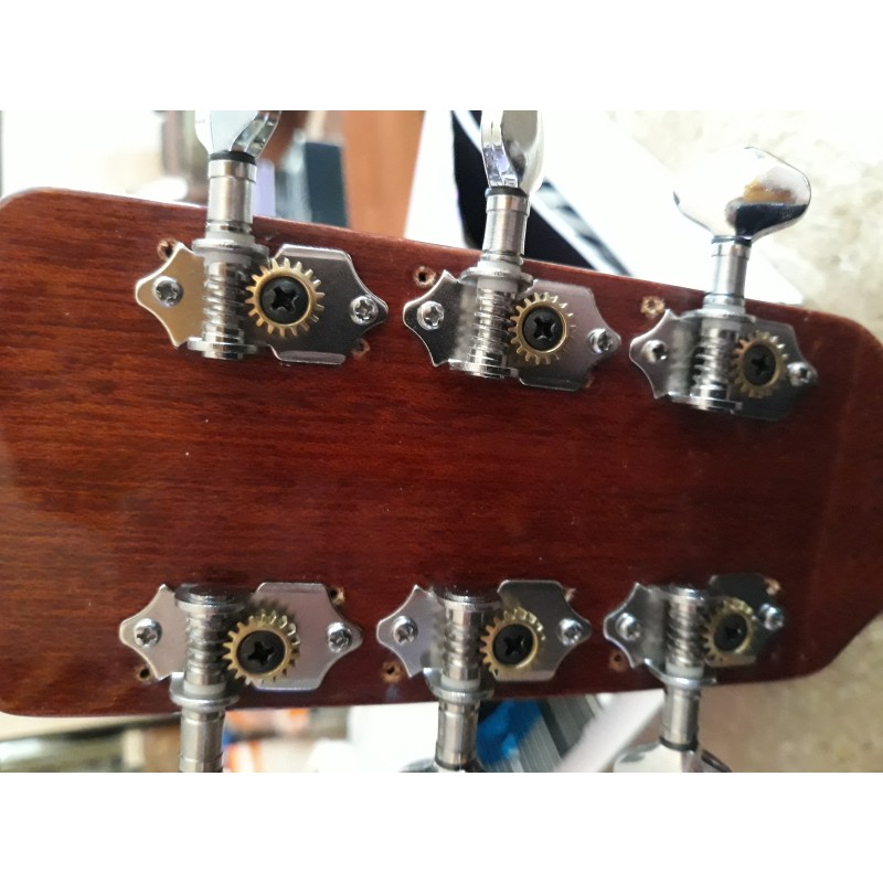 Avila Acoustic Guitar