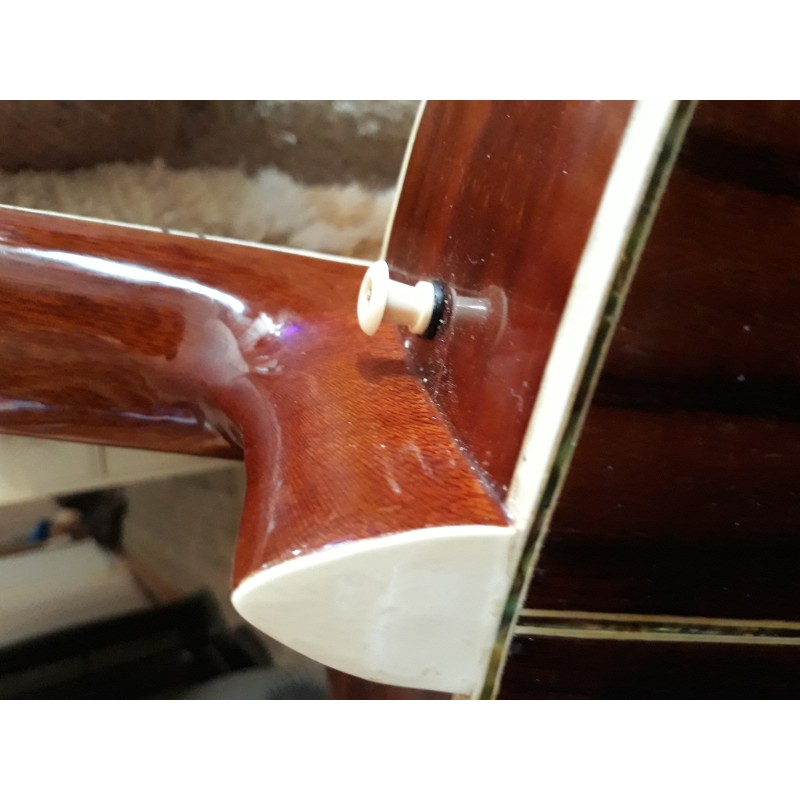 Avila Acoustic Guitar