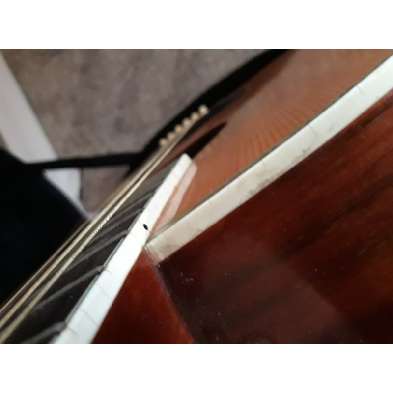 Avila Acoustic Guitar