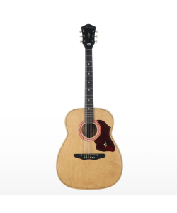 Harmony H159 Acoustic