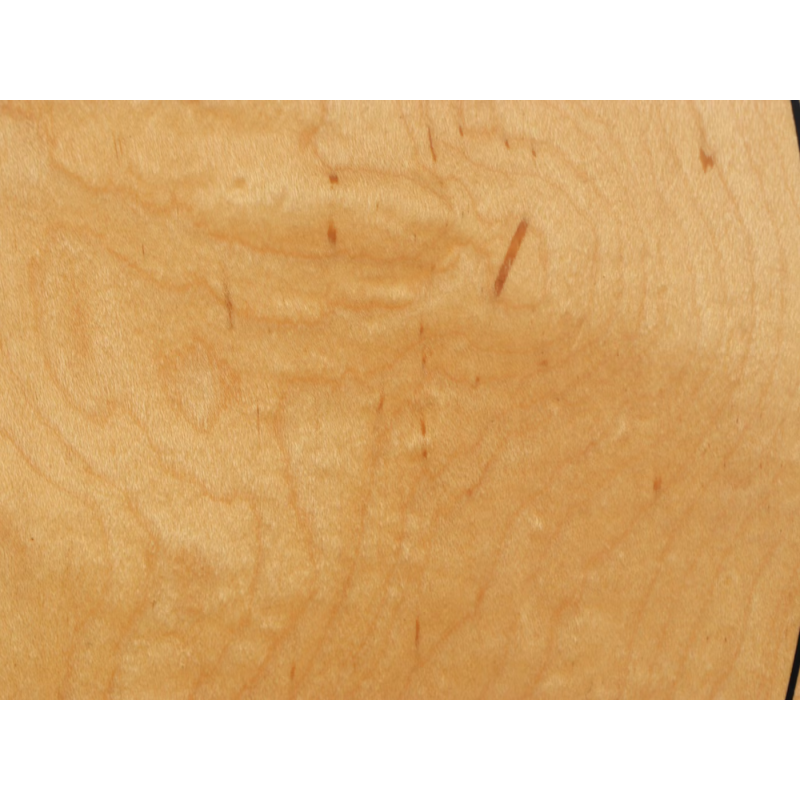 Harmony H159 Acoustic