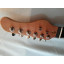 Custom Build Telecaster