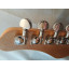 Custom Build Telecaster