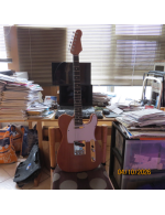 Custom Tele Kit Custom Tele Kit