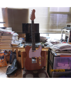 Custom Tele Kit Custom Tele Kit