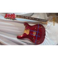 PRS DIY Kit