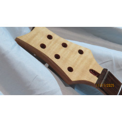 Electric Guitar Neck